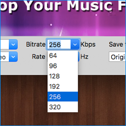 output audio options