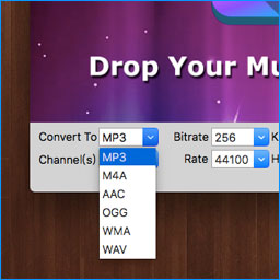 mac media player flac